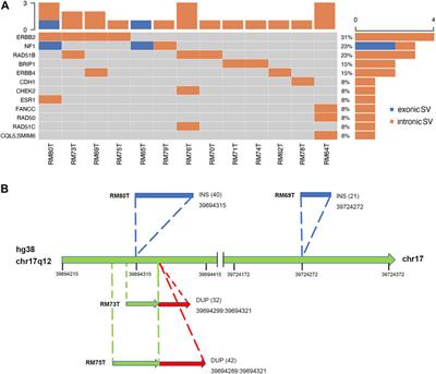 Detection of Structural Variations and Fusion Genes in Breast Cancer Samples Using Third-Generation Sequencing